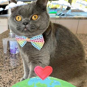 Meet your Posher, Franca